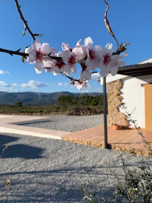 La Llobatera Casa Rural Les Coves de Vinroma Экстерьер фото